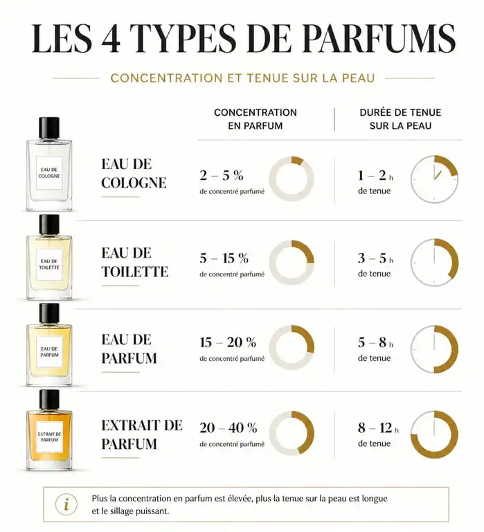 Infographie des concentrations de parfum femme 2025 : Eau de Cologne, Eau de Toilette, Eau de Parfum et Extrait de Parfum